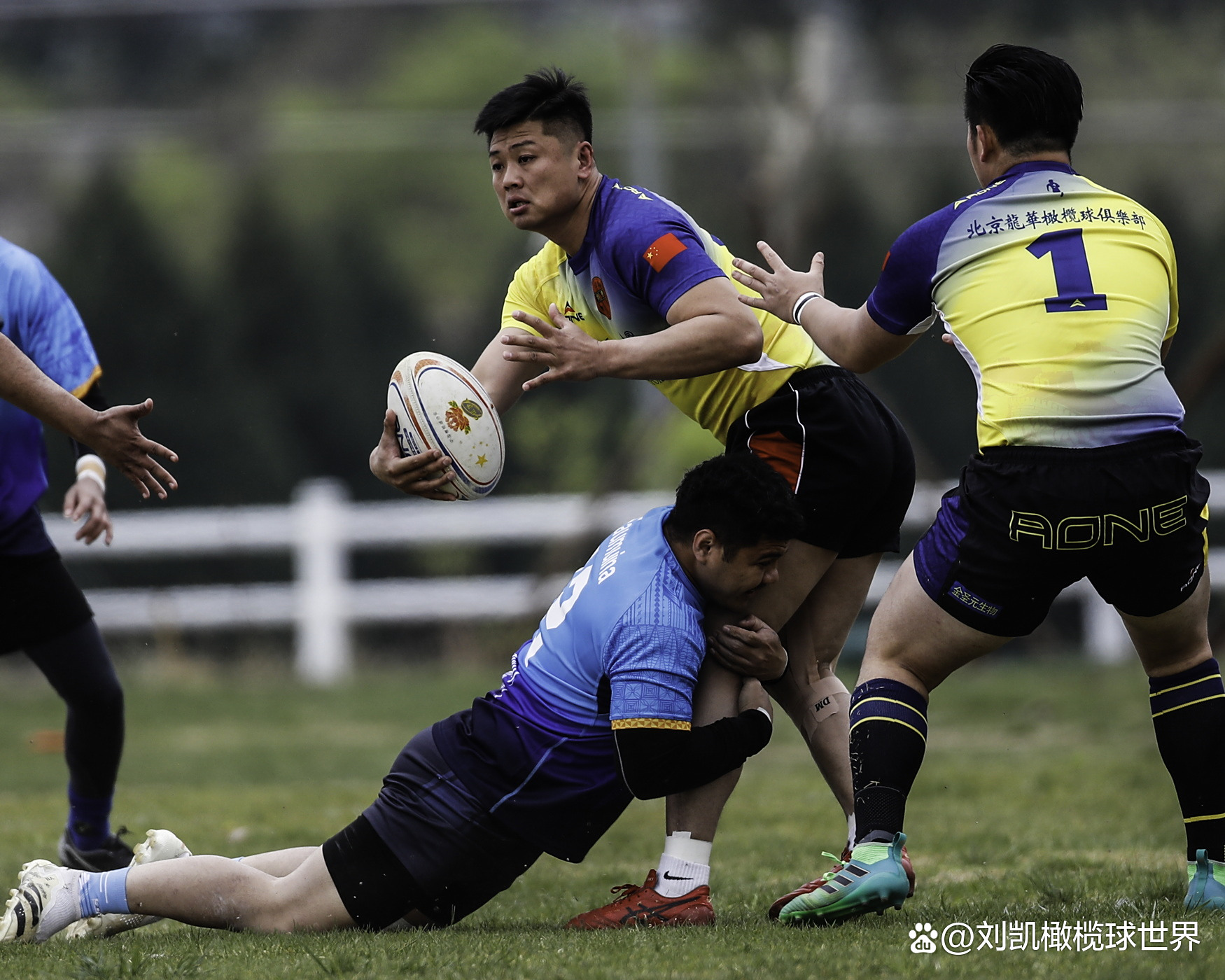 冷静与激情交织！橄榄球完美收官